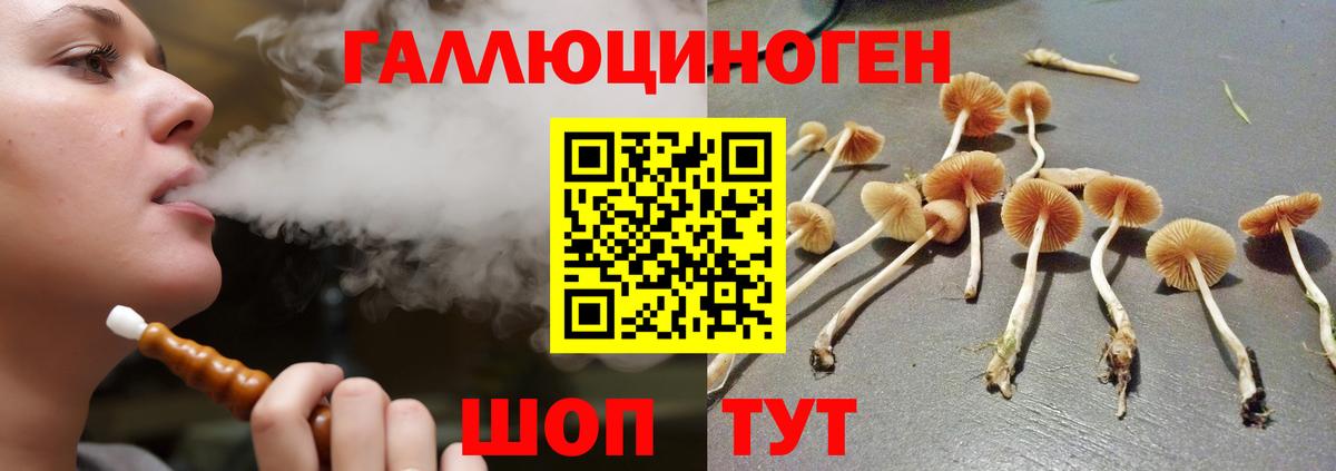 Псилоцибиновые грибы Cubensis Мелеуз